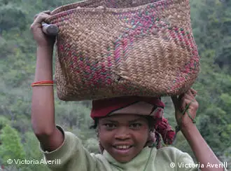 Rozanakutu's daughter helps farm her father's cultivated land which lies within the protected forest area in eastern Madagascar