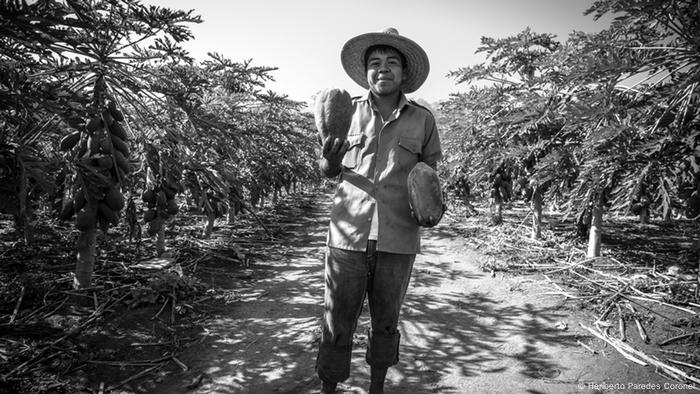 Luis es un joven campesino que tiene la inquietud de estudiar. Los jóvenes son necesarios en la comunidad cuya economía está basada en la agricultura. Produce toneladas de papaya, tamarindo, jamaica, ajonjolí, melón, tomates, maíz, cocos. Incluso en los años de violencia, las familias siguieron cultivando sus parcelas. Se sienten bendecidos por tener el río Ostula y tierras fértiles. 