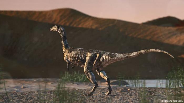 Nova Especie De Dinossauro E Descoberta No Brasil Noticias Sobre Politica Economia E Sociedade Da Alemanha Dw 27 06 2019