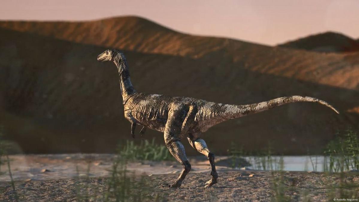 Nova espécie de dinossauro carnívoro é descoberta em São Paulo