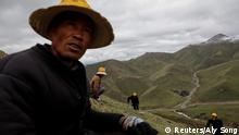 China Pilzsammler leiden unter Klimawandel (Reuters/Aly Song)