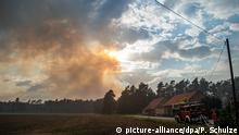 Incendiu de pădure fără precedent în landul Mecklenburg-Pomerania Anterioară