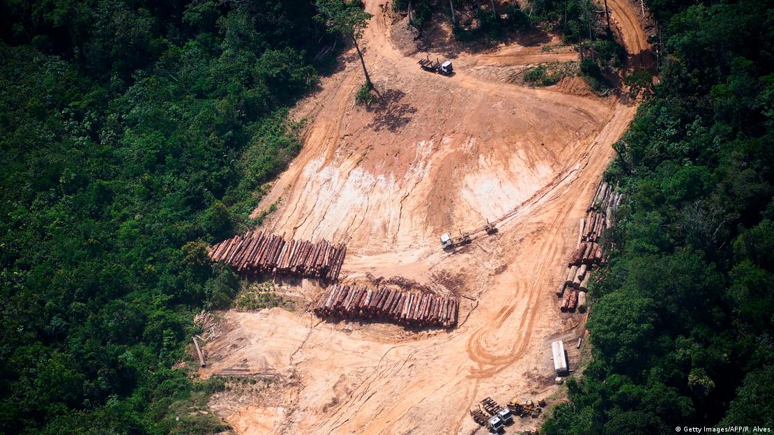 Área desmatada com toras empilhadas na Amazônia
