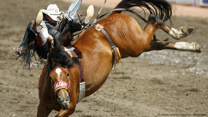 Calgary Stampede (picture-alliance/empics/L. Macdougall)