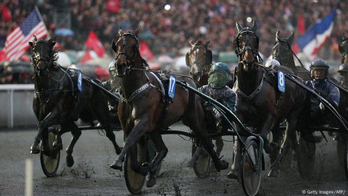  Prix d'Amerique Equistrian (Getty Images/AFP/)