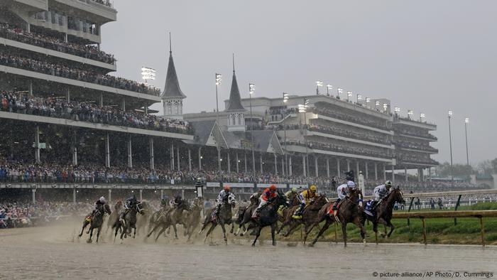 Horse Racing Lasix (picture-alliance/AP Photo/D. Cummings)