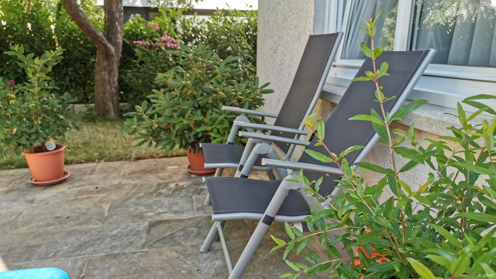 Mensyukuri Hidup Dari Berkebun Empat Musim Di Jerman Blog Eropa Menurut Warga Indonesia Dan Indonesia Di Mata Warga Eropa Dw 05 07 2019