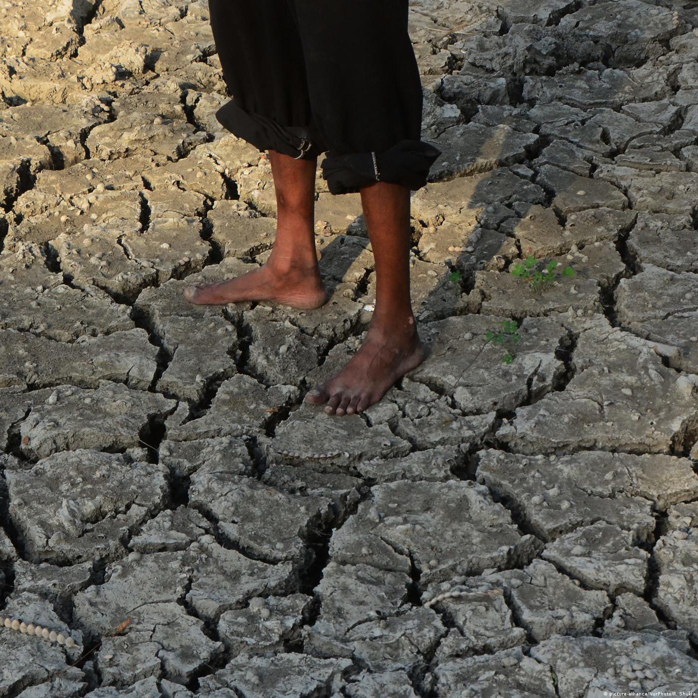 Living Planet: It's getting hot in here!