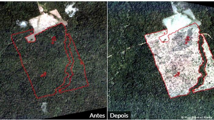 Acesso público a dados de desmatamento impossibilita manipulação, diz Inpe  | Novidades da ciência para melhorar a qualidade de vida | DW | 05.07.2019