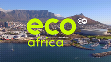 Eco Africa — The Environment Magazine