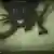 Screenshot Youtube Animation Kätzchen, So­wjet­uni­on 1968
