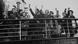 Some of the 5,000 Jewish and non-Aryan German child refugees, the 'Kindertransport', arriving in England at Harwich from Germany. Some of the 5,000 Jewish and non-Aryan German child refugees, the 'Kindertransport', arriving in England at Harwich from Germany.