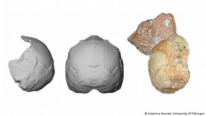 Kam der Homo sapiens 150.000 Jahre früher nach Europa? | Wissen ...