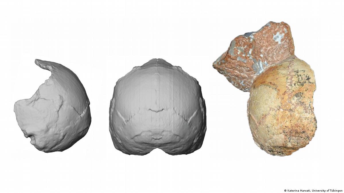 Researchers identify oldest human remains in Europe
