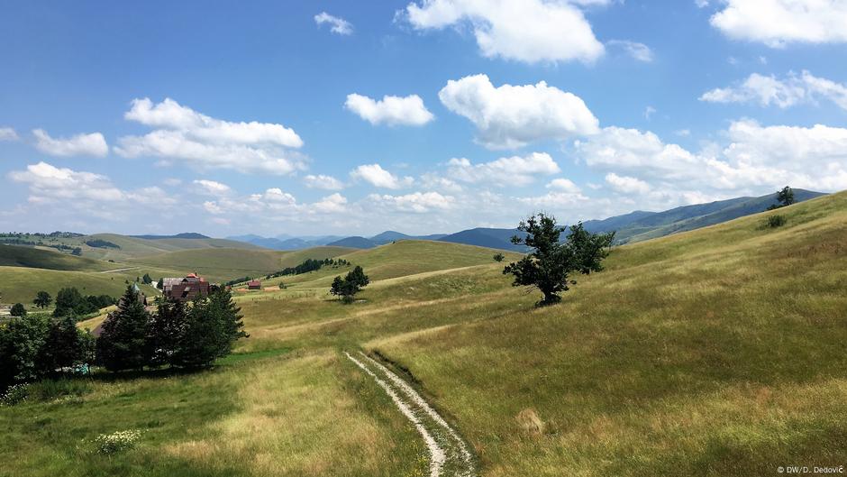 Zlatibor