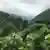 Вида на виноградники, расположенные на склонах холмов