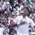 Wimbledon 2019 | Finale Novak Djokovic - Roger Federer