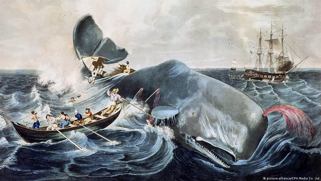 How Herman Melville′s ′Moby-Dick′ anticipated modernist writing | Books | DW 31.07.2019