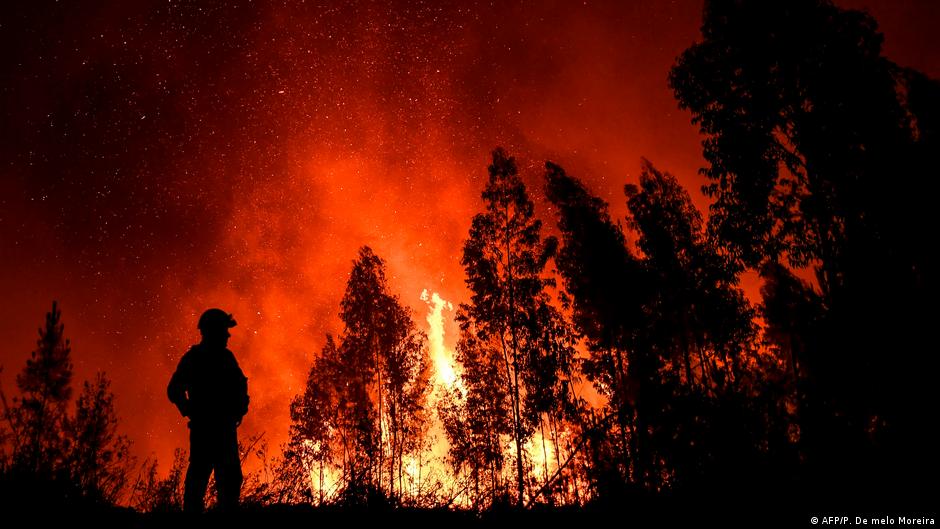 Firefighters combat wildfires in Portugal