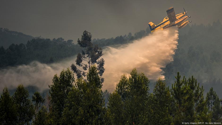 Grande incêndio florestal atinge Portugal – DW – 23/07/2019