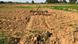 Uttar Pradesh Sonbhadra | Farm Uttar Pradesh Sonbhadra | Farm