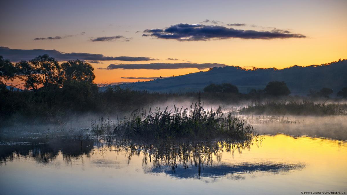 What you need to know about wetlands – DW – 02/02/2021