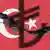 Symbol of Turkish lira on Turkish flag