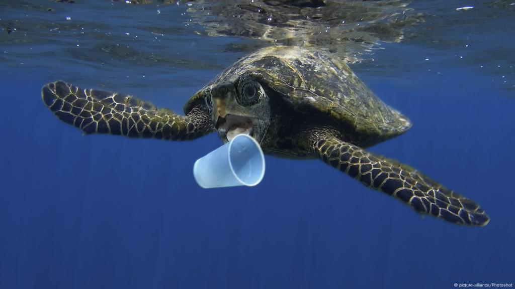 Whose Fault Is Plastic Waste In The Ocean Environment All Topics From Climate Change To Conservation Dw 31 07 19