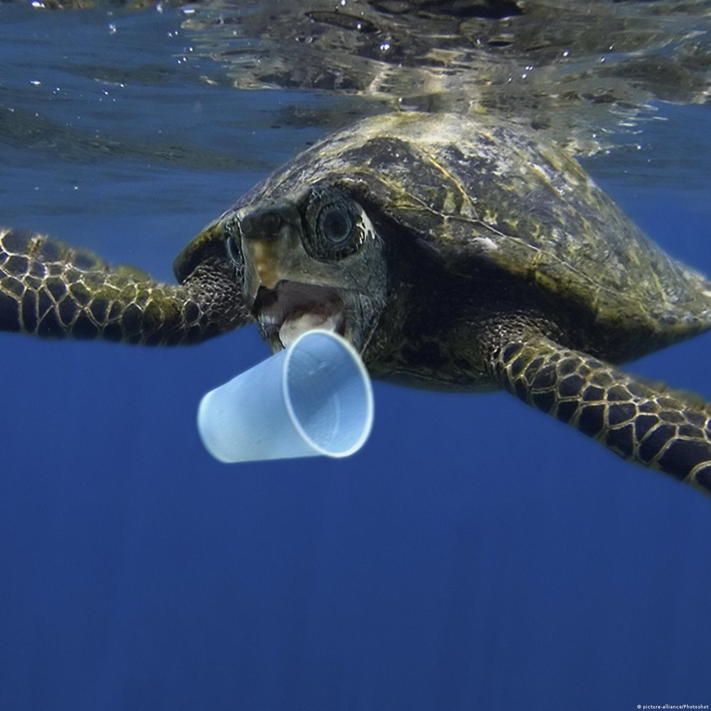 Living Planet: Not so fantastic