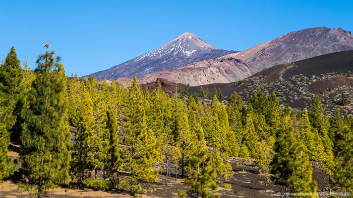BG Alexander von Humboldt l Nationalpark El Teide auf der Kanareninsel Teneriffa (picture-alliance/HAFEN-FOTOS.DE)