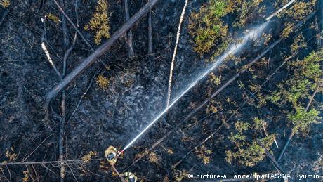 Massive fires in Russia's Siberia (picture-alliance/dpa/TASS/A. Ryumin)