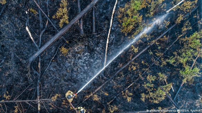 Massive fires in Russia's Siberia (picture-alliance/dpa/TASS/A. Ryumin)