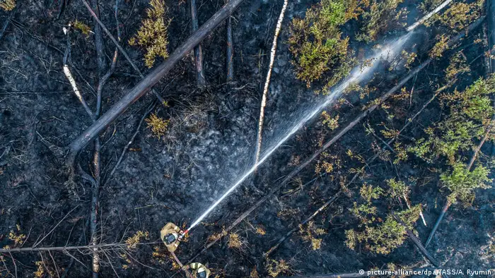 Massive fires in Russia's Siberia (picture-alliance/dpa/TASS/A. Ryumin)