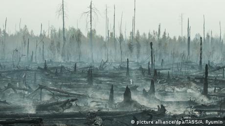 Massive forest fires in Russia (picture alliance/dpa/TASS/A. Ryumin)