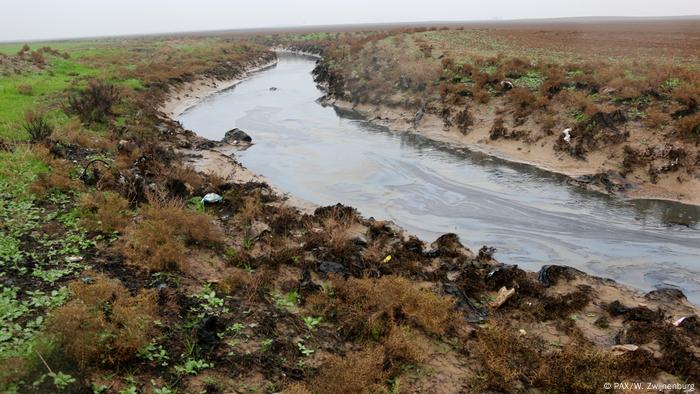 Wenn Die Natur Zum Kriegsopfer Wird Wissen Umwelt Dw 10 08 19