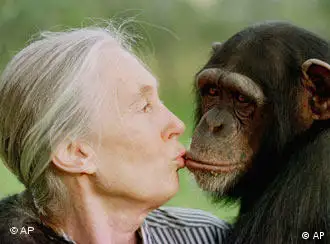 著名黑猩猩研究者古达尔女士和她的伙伴