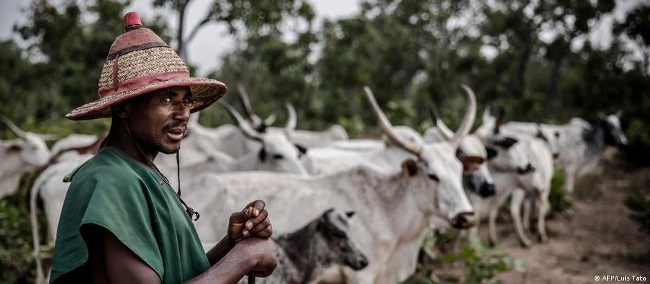 Nigreria Fulani-Nomaden