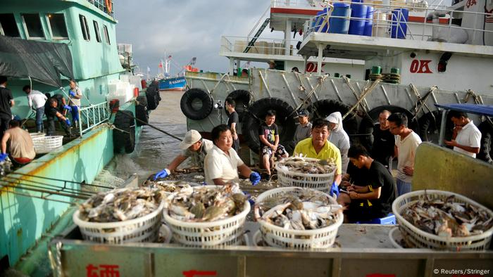 Chinesische Fischfangflotte Vor Galapagos Beunruhigt Ecuador Asien Dw 31 07