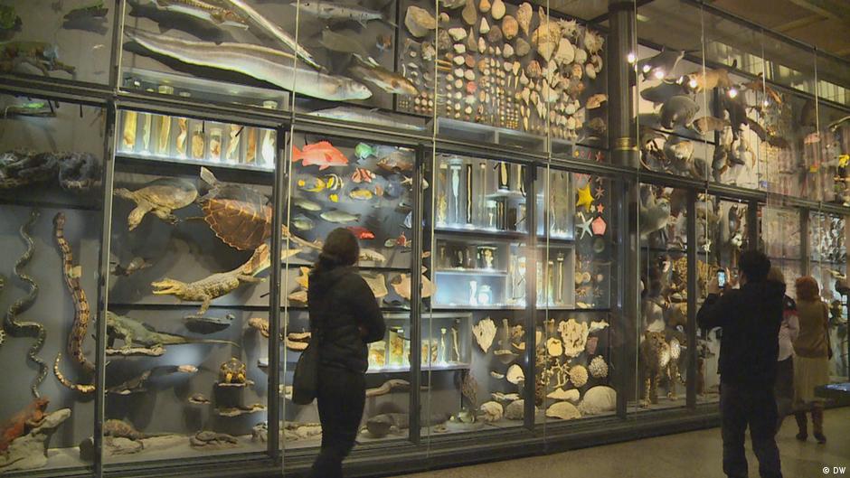 Humboldt and Berlin's Natural History Museum