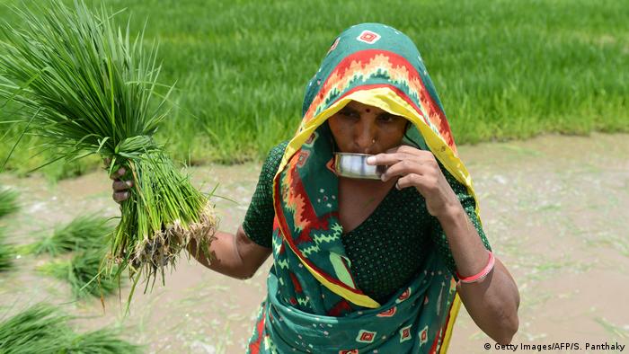 Gambar simbol petani di India (Getty Images/AFP/S. Panthaky)