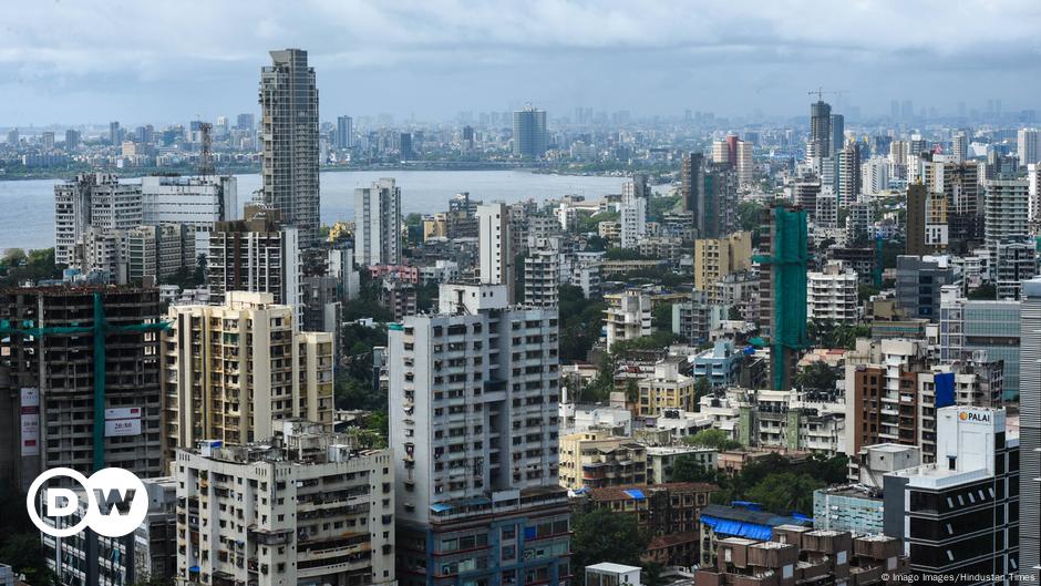 Green cover reforestation in Mumbai – DW – 11/27/2020