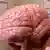 كم شدن حجم مغز مى‌تواند نشانه‌تكامل در بافت اين اندام باشد.