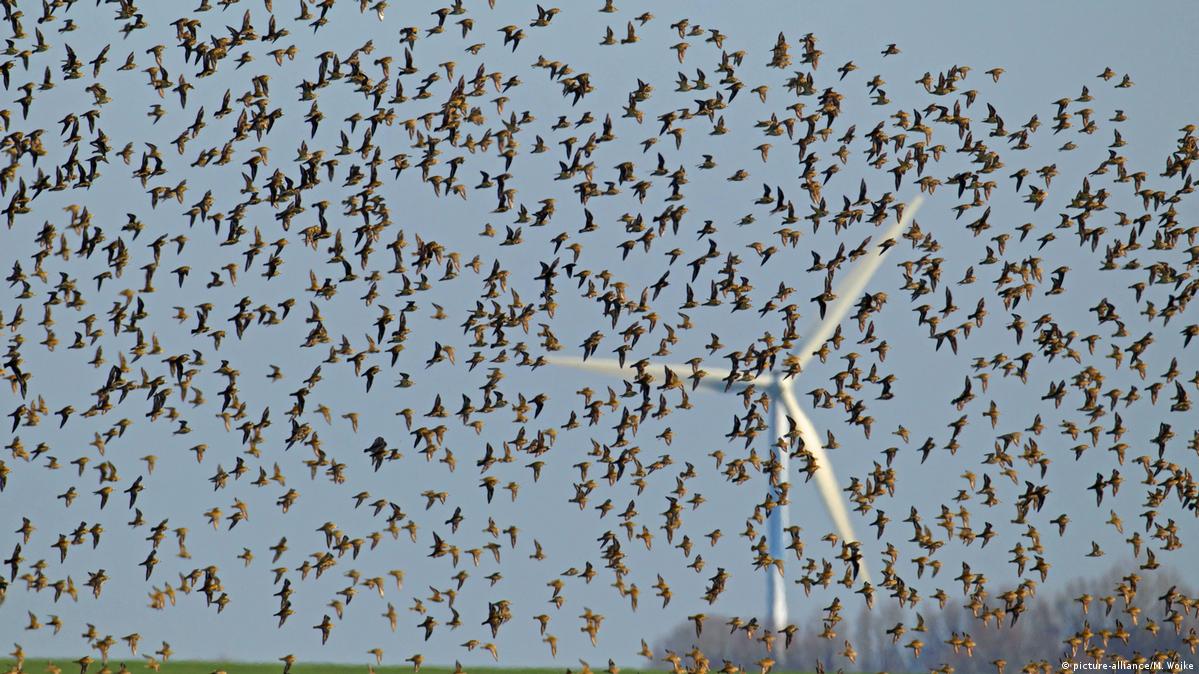 When the wind doesn't blow