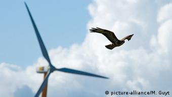 ανεμογεννήτρια πουλί ανεμογεννήτρια πουλί