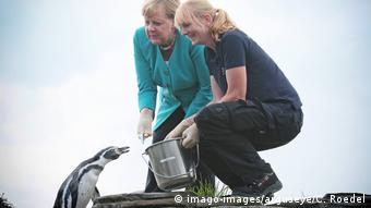 Merkel besucht Ozeaneum in Stralsund und füttert Pinguine BdT