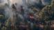 Wildfire in Greece Wildfire in Greece