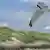 Una gaviota en vuelo.
