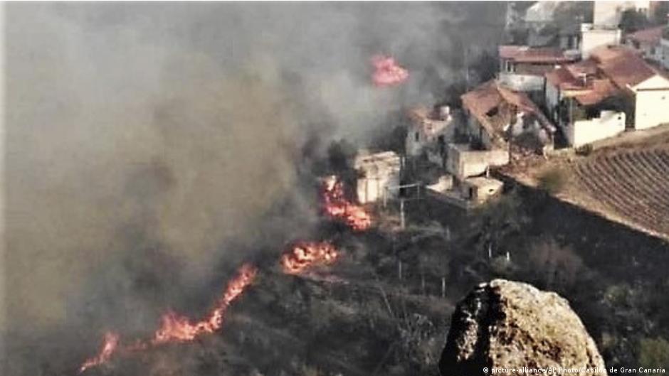 Gran Canaria wildfire an 'environmental tragedy'