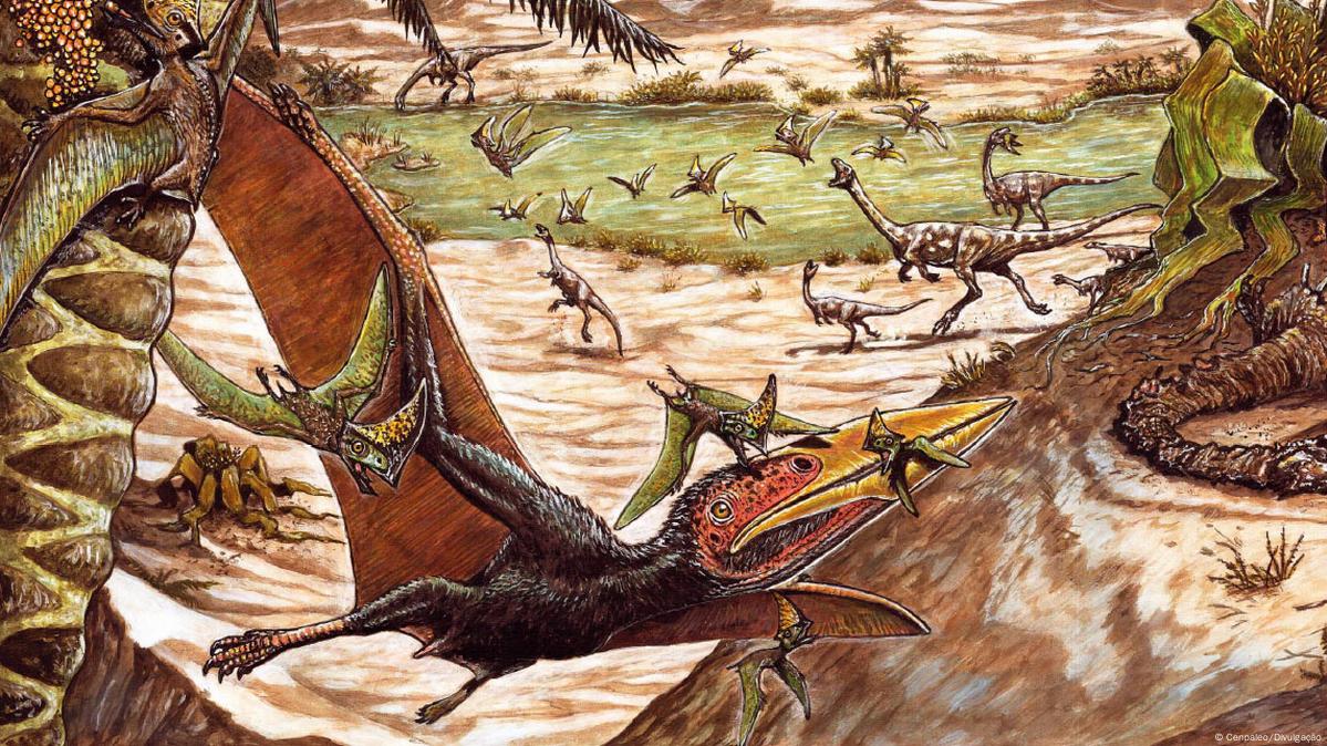 Paleontólogos encontram maior fóssil de pterodáctilo do período