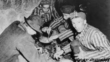 Lagerinsassen bei der Zubereitung ihres Essens im Konzentrationslager Mauthausen bei Linz (Österreich) nach der Befreiung durch Einheiten der 3. US-Armee 1945. +++(c) dpa - Report+++ | Verwendung weltweit